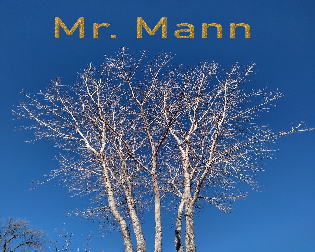 “Mr. Mann” by James M LaRocque: A Joyful Fusion Of Soft Rock And Pop Delight