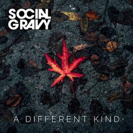 Social Gravy Anywayz