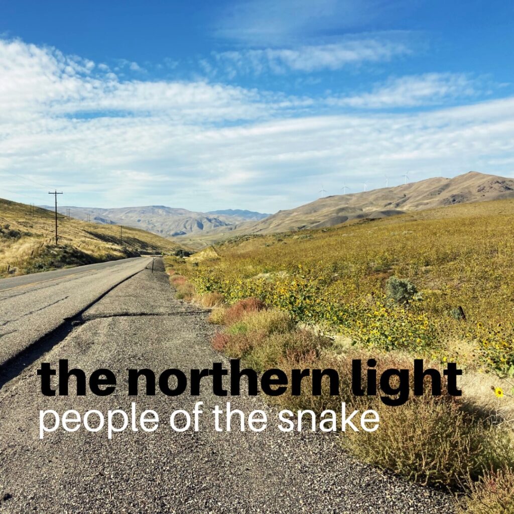 1000203708 The Northern Light