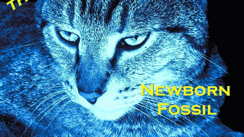 Marcus: The Apex Predator! Returns With Newborn Fossil — A Ferocious Rebirth Forged In Detroit Grit