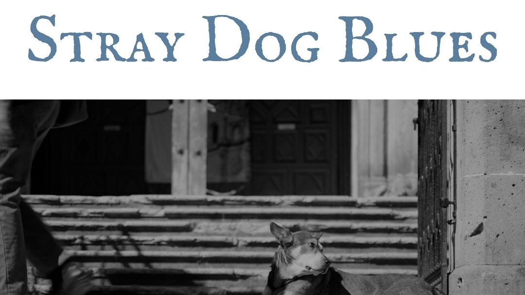 Spyderhuff – Stray Dog Blues Review: A Soulful Cry For Connection From The Shadows Of Abandonment