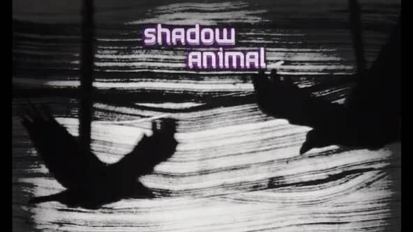 Shadow Animal – Carry Me