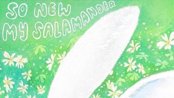 My Salamander – So New