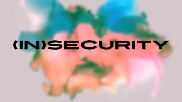 WILD WREN – (In)Security