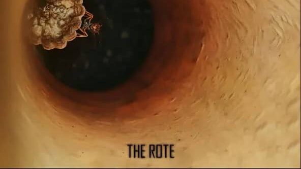 The Rote – Undervalued