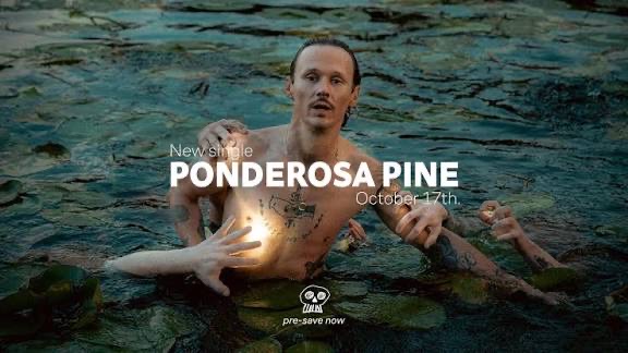 A Towering Anthem Of Resilience, Emotional Depth, Expansive Soundscapes And Intimate Vocal Power: Longfield & Super Skeleton – Ponderosa Pine