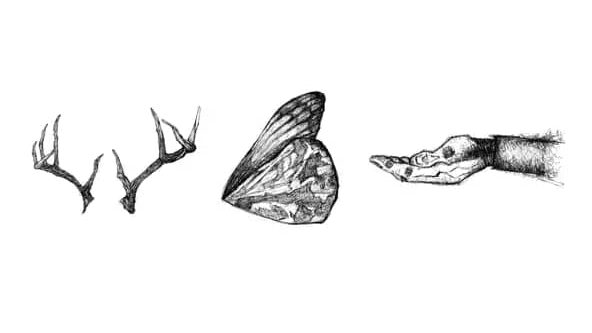 The Dreaming Void – Dangerous Toys