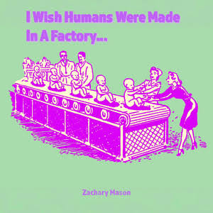 A Thought Provoking Reflection Zachary Mason I wish humans were made in a factory