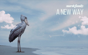 A Confident Rhythmic Evolution Rooted In Unity And Renewal Spirit: Marsh Family – A New Way