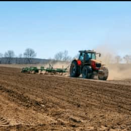 Whippoorwill Hill – Maybe It’ll Rain