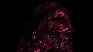 An Energetic Alternative Rock Track Driven By Momentum And Dynamic Production: Thesis – Red Sea