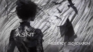 An Introspective Atmospheric Rock With Haunting Vocal And Polished Instrumentation: ASNT – Misery Sojourn Radio Edit