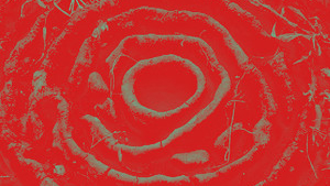 Ant In The Maze – Moody Blue
