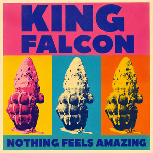 A Powerful Rock Journey With Vulnerable Vocals And Dynamic Instrumental Intensity: King Falcon – Nothing Feels Amazing