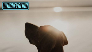 A Raw Desert Rock With Immersive Atmosphere, Powerful Musicianship, Emotional Authenticity Throughout: Honeyblind – June Bug