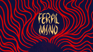 A Profound Atmospheric Journey Through Growth, Reflection And Emotional Transformation: Feral Mind – Slip Your Hands